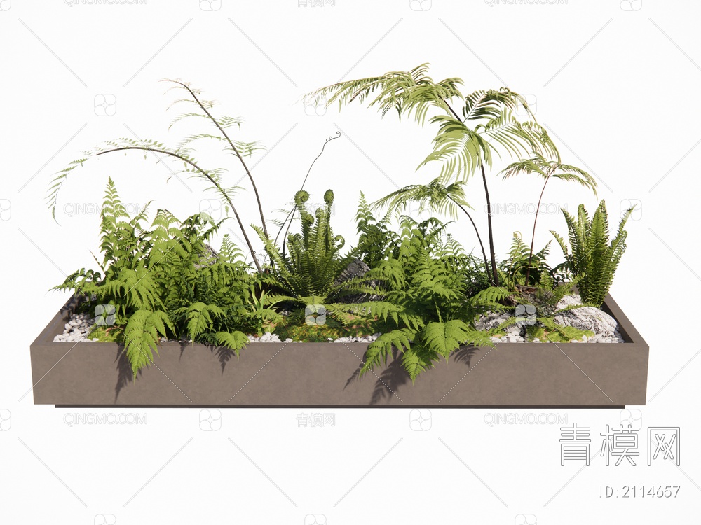 蕨类植物SU模型下载【ID:2114657】