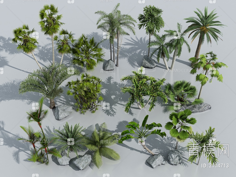 棕榈植物SU模型下载【ID:2114713】