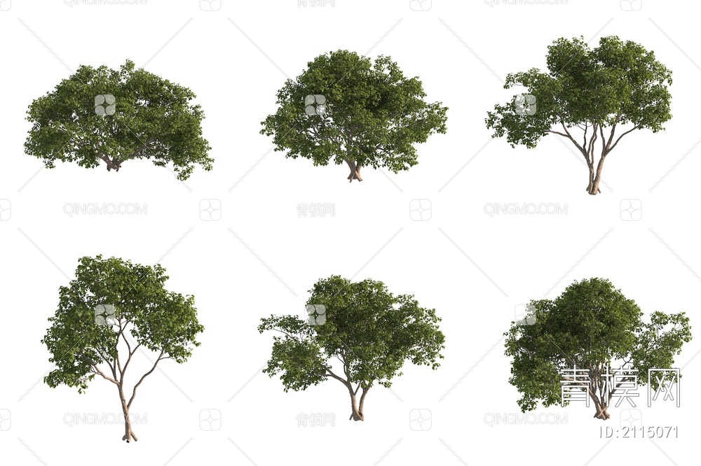翅苹婆树 景观树 园林树 大树3D模型下载【ID:2115071】