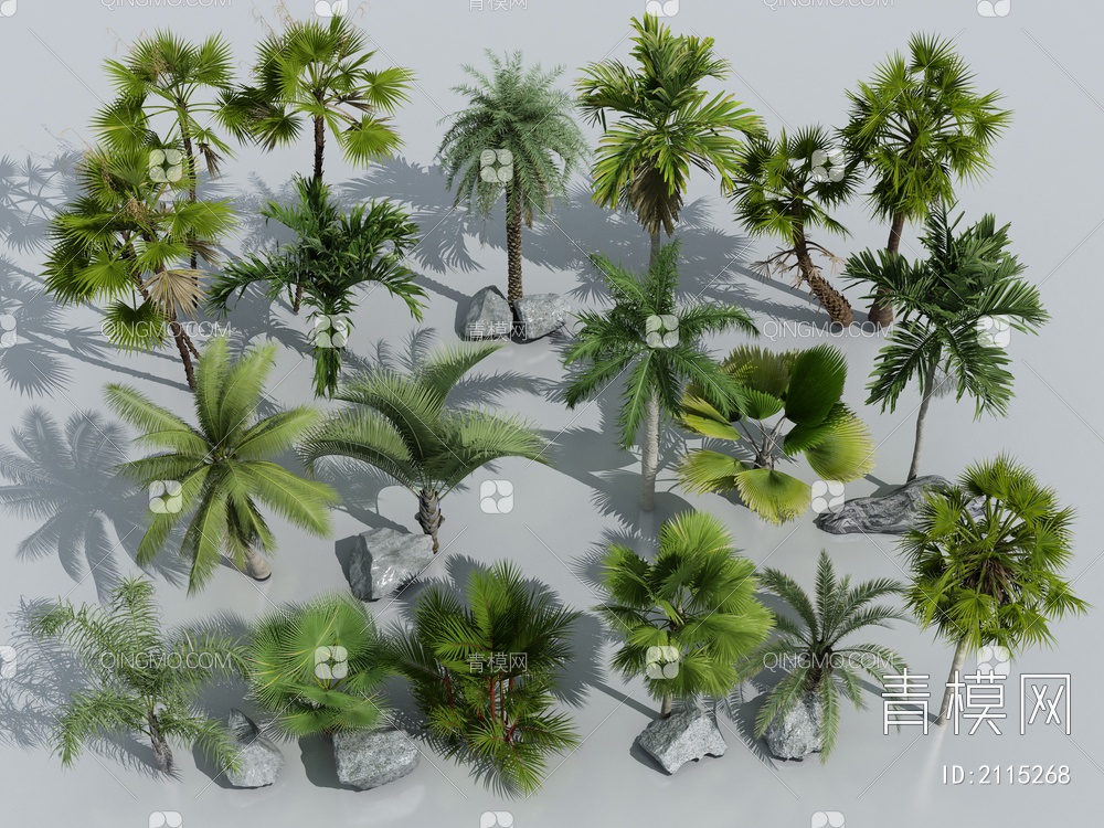 棕榈植物SU模型下载【ID:2115268】