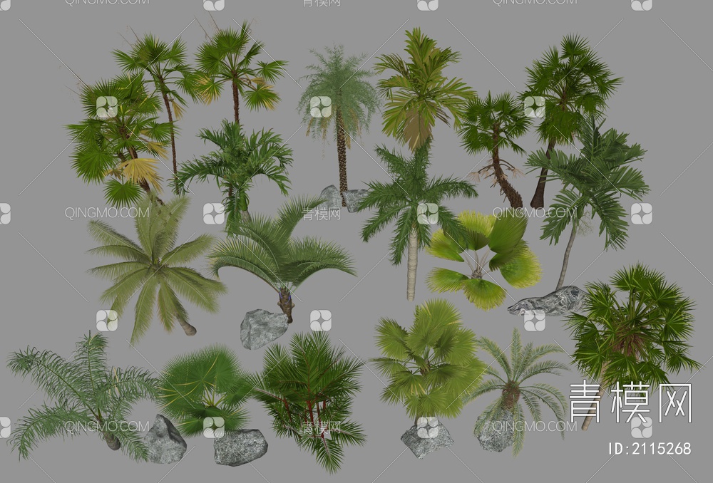 棕榈植物SU模型下载【ID:2115268】