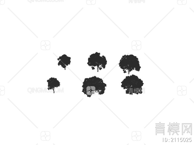 澳洲巨盘木 景观树 植物3D模型下载【ID:2115025】