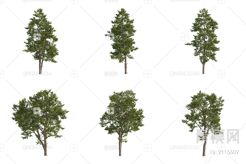 毛梾树 景观树 大树 行道树3D模型下载【ID:2116609】