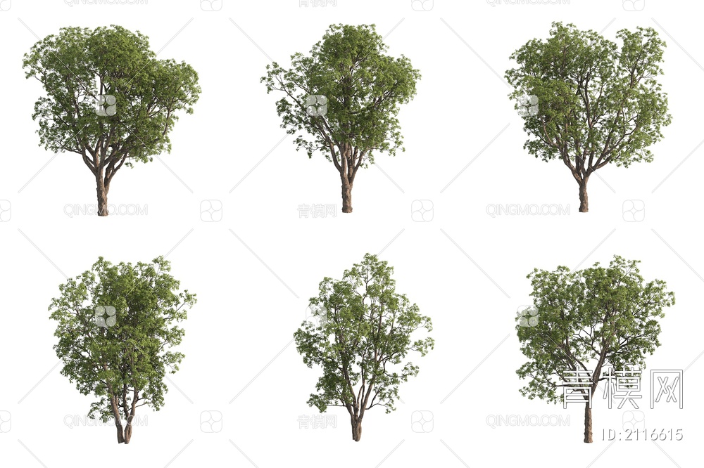 刺果栎 大果栎 景观树 园林树 大树3D模型下载【ID:2116615】