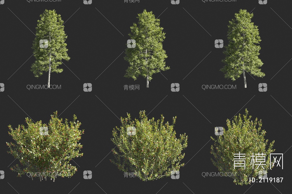 欧洲枸骨树 花叶冬青树 灌木 景观树3D模型下载【ID:2119187】