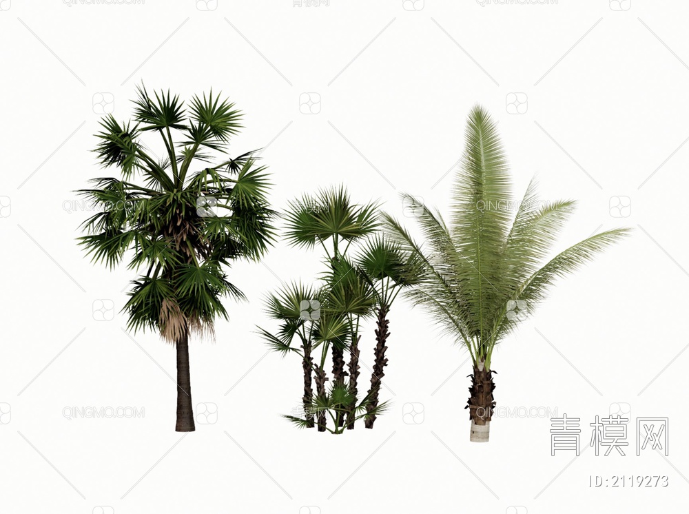 棕榈植物SU模型下载【ID:2119273】