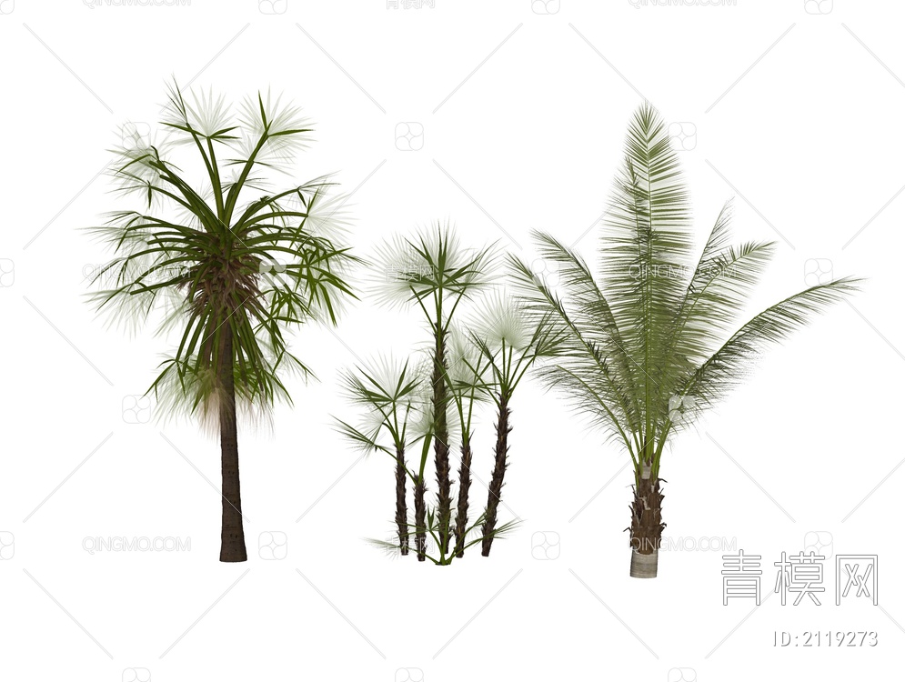 棕榈植物SU模型下载【ID:2119273】