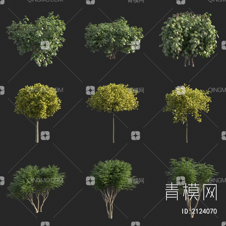 景观树 行道树 灌木 小树3D模型下载【ID:2124070】