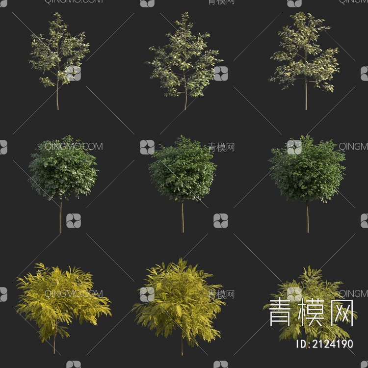景观树 行道树 小树 小灌木3D模型下载【ID:2124190】