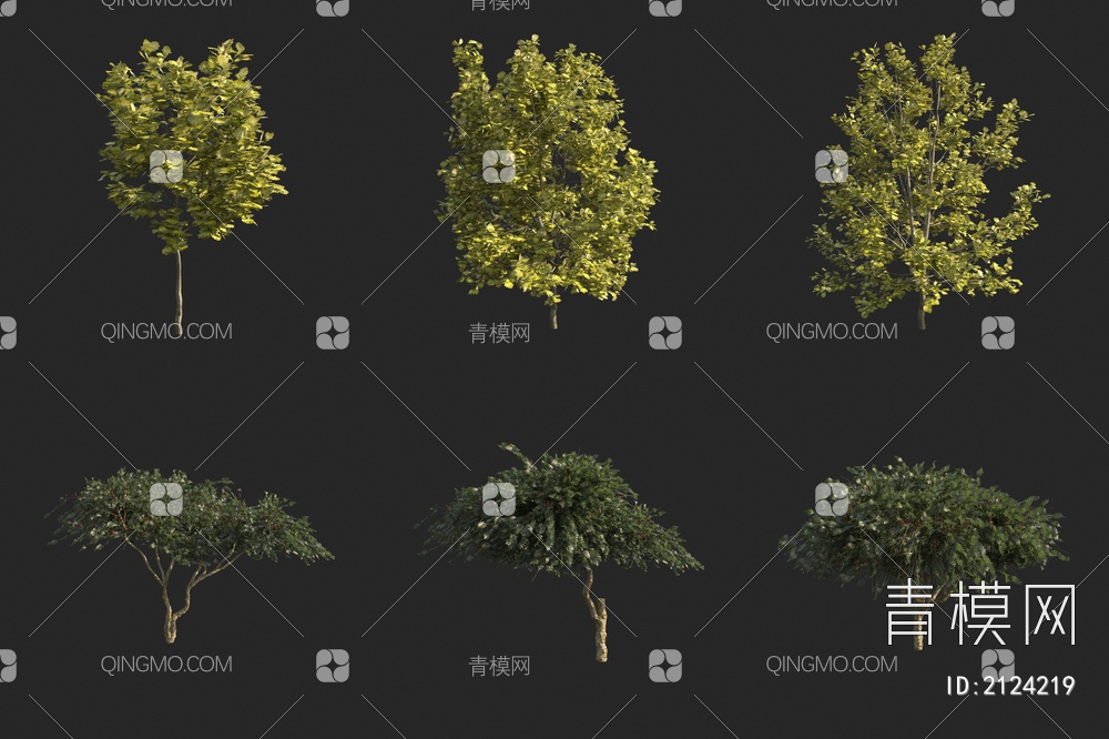 景观树 行道树 小树 灌木3D模型下载【ID:2124219】