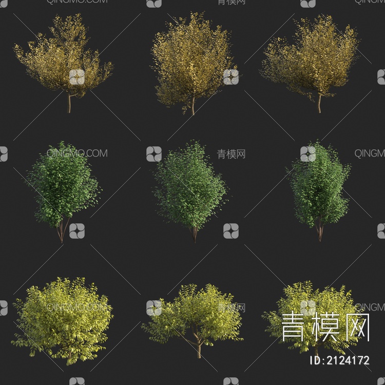 景观树 行道树 小树 小灌木3D模型下载【ID:2124172】