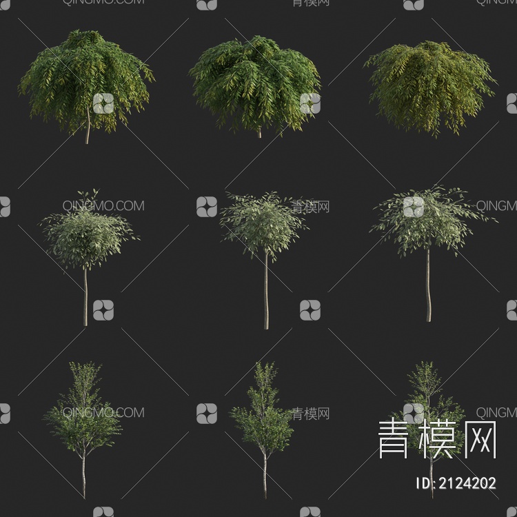 景观树 行道树 小树 灌木3D模型下载【ID:2124202】