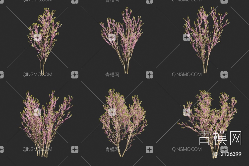 紫荆花树 景观树 灌木 小树3D模型下载【ID:2126399】