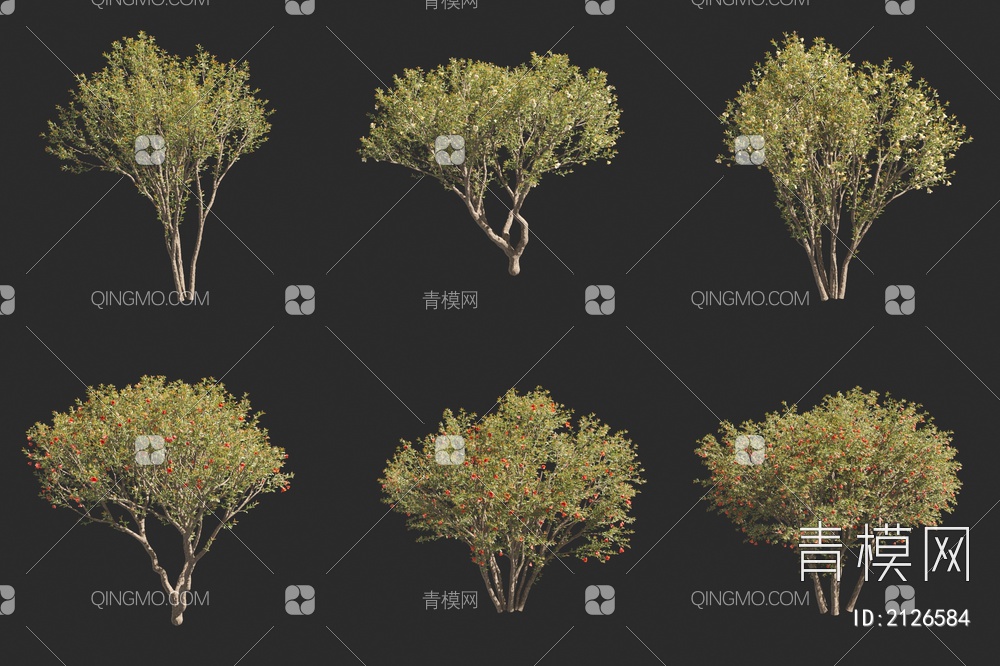 石榴花树 果树 花树 小树 景观树3D模型下载【ID:2126584】