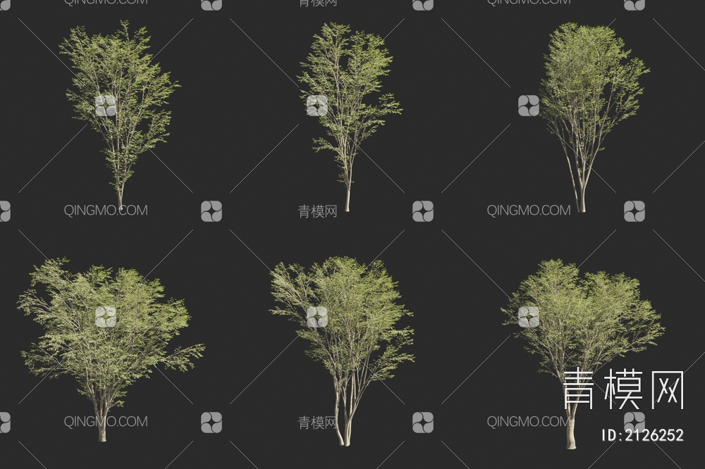 鹅耳枥 桦木树 鹅掌柴 景观树 小树3D模型下载【ID:2126252】