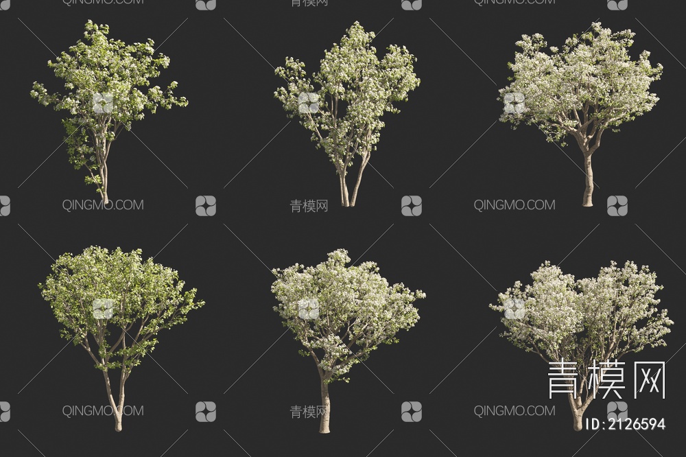 梨树 梨花树 小树 景观树3D模型下载【ID:2126594】
