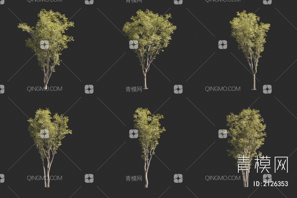 朴树 景观树 小树3D模型下载【ID:2126353】