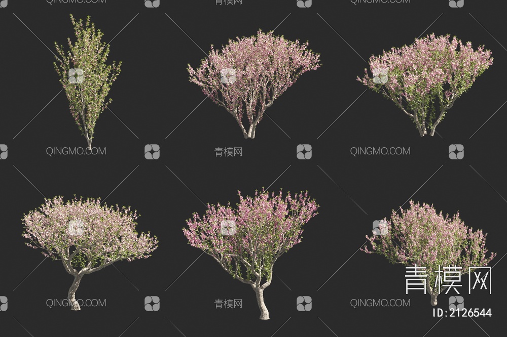 油桃树 花树 景观树 小树3D模型下载【ID:2126544】