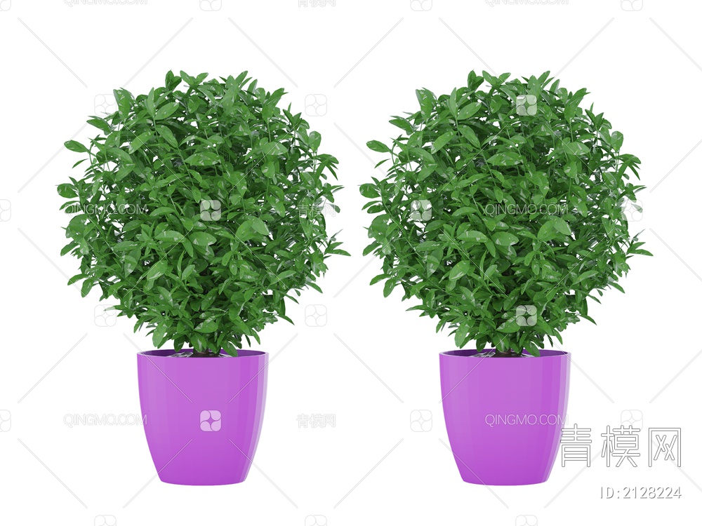 绿色植物 植物盆栽3D模型下载【ID:2128224】