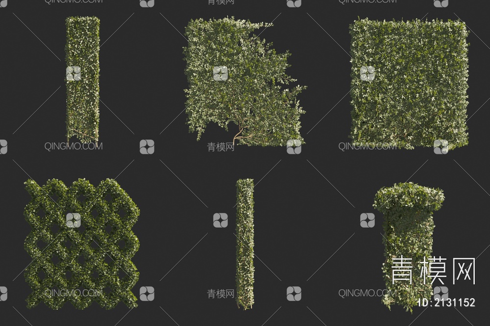 薜荔 石壁莲 穿心藤 绿植墙 植物墙 绿篱3D模型下载【ID:2131152】