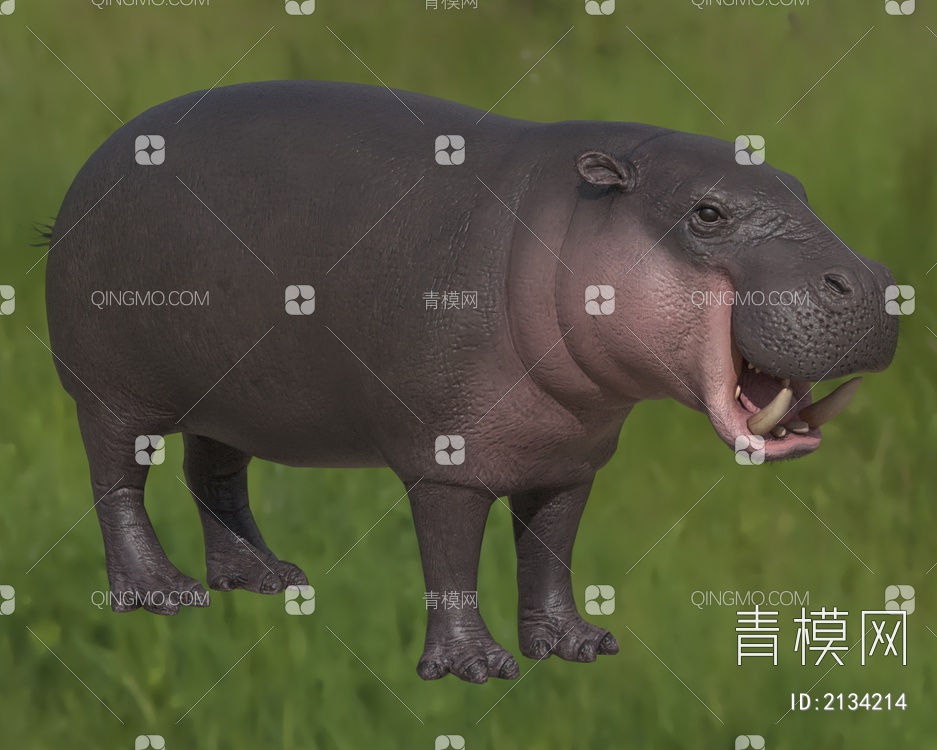侏儒河马 俾格米河马 矮河马 动物3D模型下载【ID:2134214】