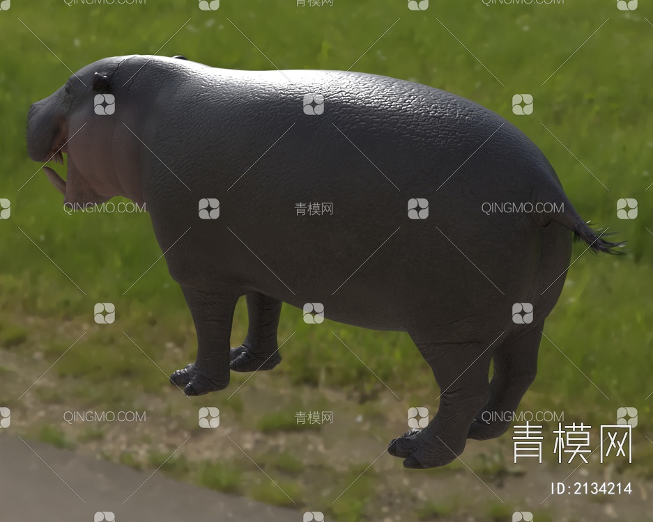 侏儒河马 俾格米河马 矮河马 动物3D模型下载【ID:2134214】