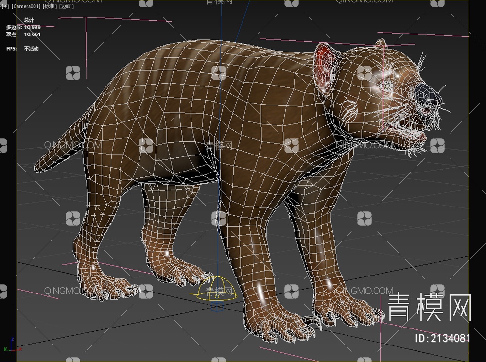 刽子手袋狮 食肉哺乳动物3D模型下载【ID:2134081】