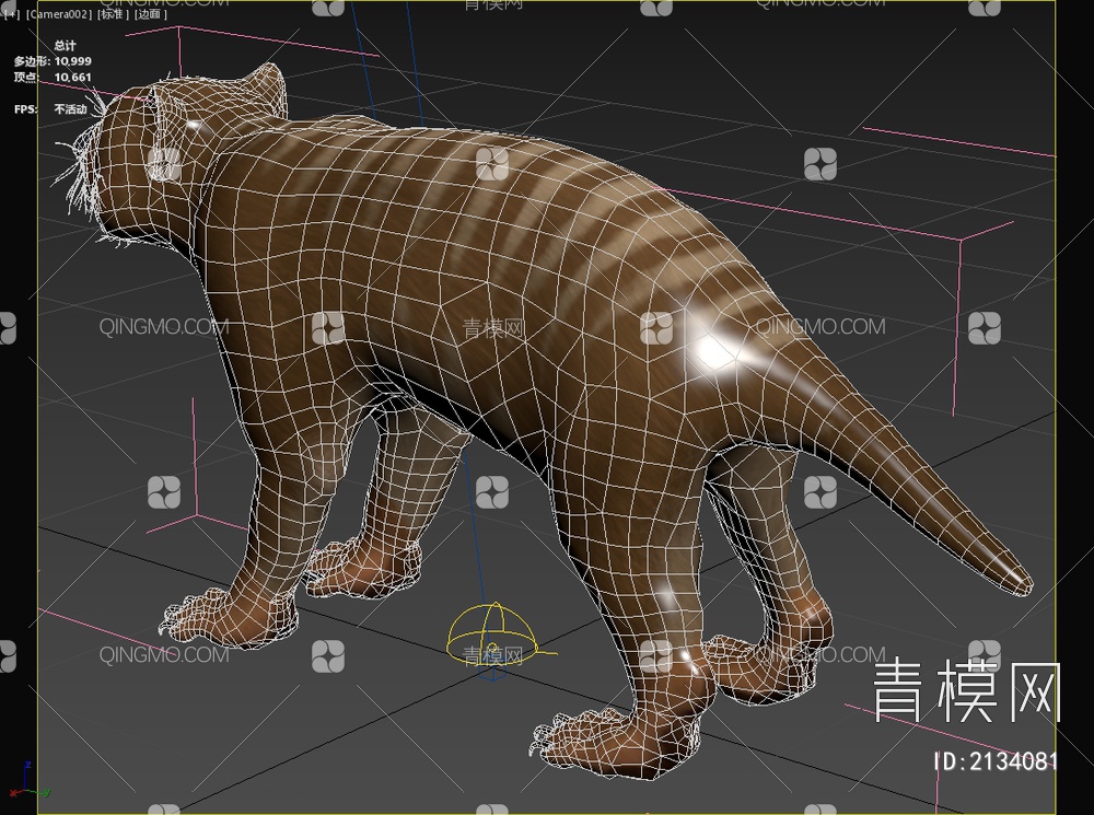 刽子手袋狮 食肉哺乳动物3D模型下载【ID:2134081】