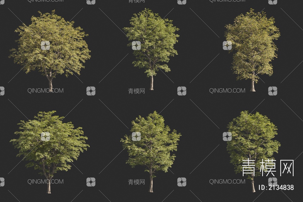 弗吉尼亚铁木 美洲铁木 角木 景观树 大树3D模型下载【ID:2134838】