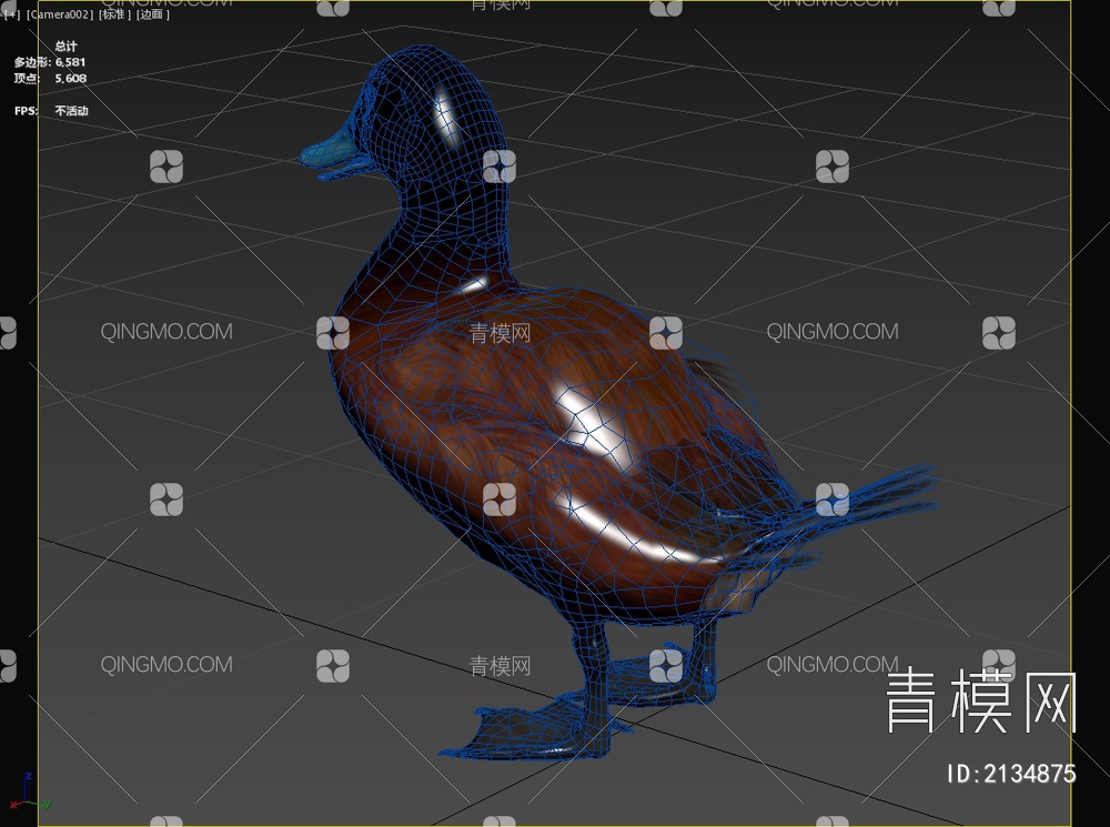 澳洲硬尾鸭澳洲蓝嘴鸭小麝香鸭生物动物3D模型下载【ID:2134875】