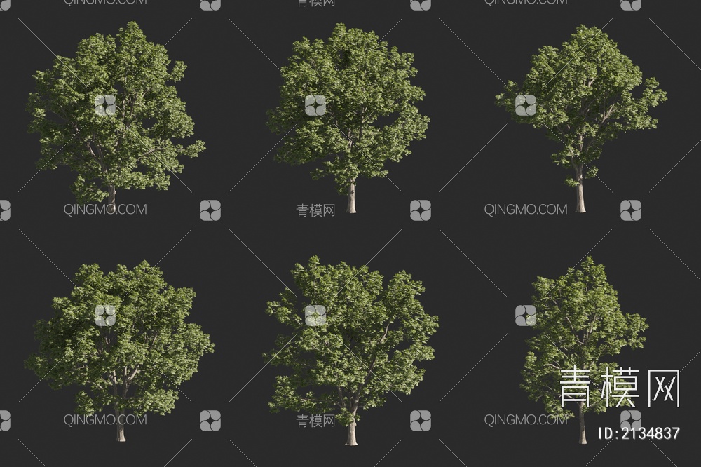 黑胡桃 北美胡桃木 景观树 大树3D模型下载【ID:2134837】