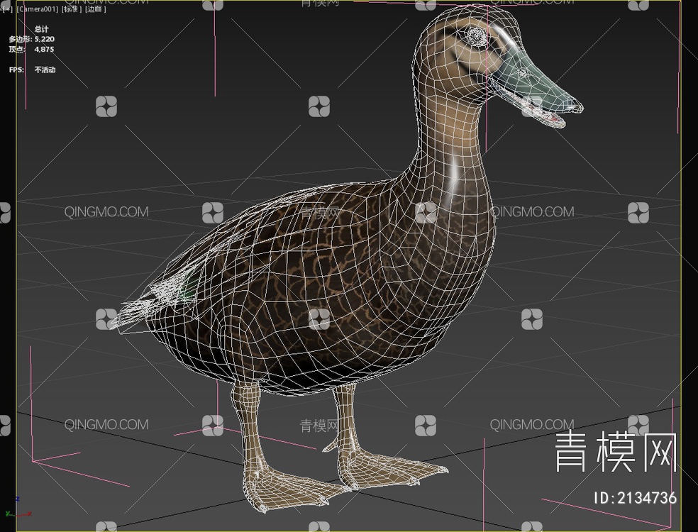 太平洋黑鸭动物3D模型下载【ID:2134736】