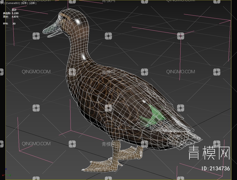 太平洋黑鸭动物3D模型下载【ID:2134736】