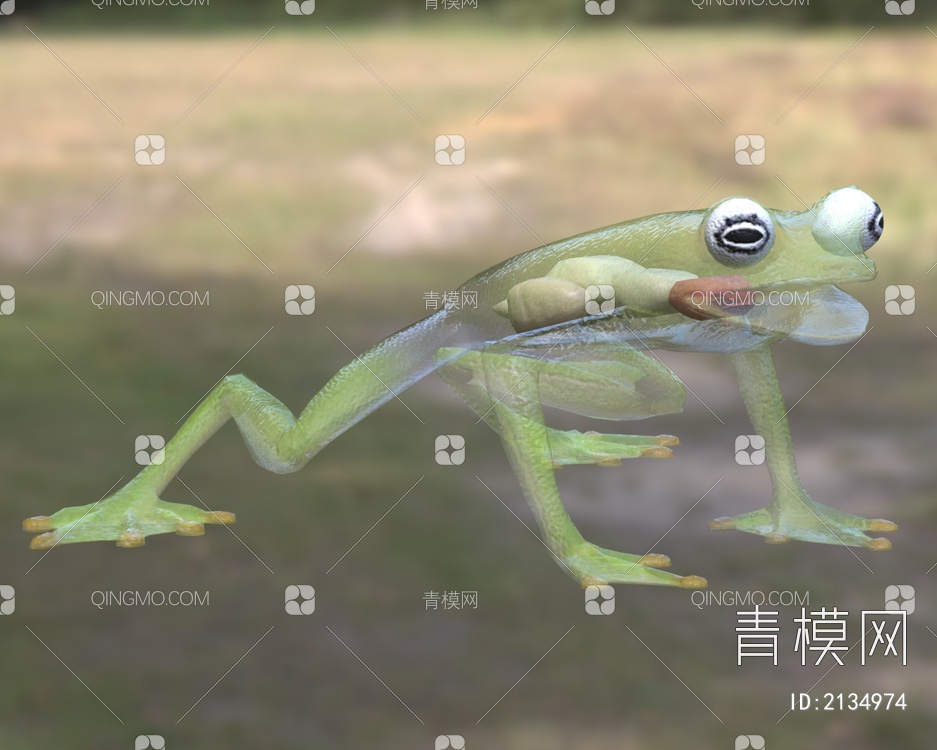 赤心玻璃蛙生物动物3D模型下载【ID:2134974】