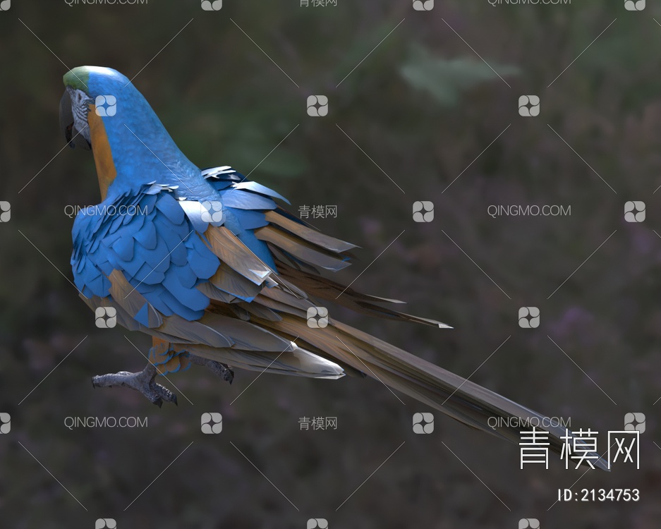 黄蓝金刚鹦鹉 蓝黄金刚鹦鹉 琉璃金刚鹦鹉 动物 鸟类3D模型下载【ID:2134753】