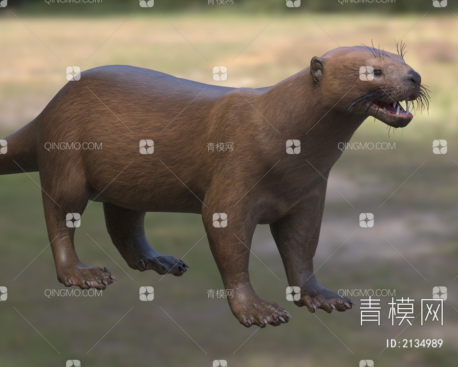 奥漠海獭齿兽生物动物3D模型下载【ID:2134989】