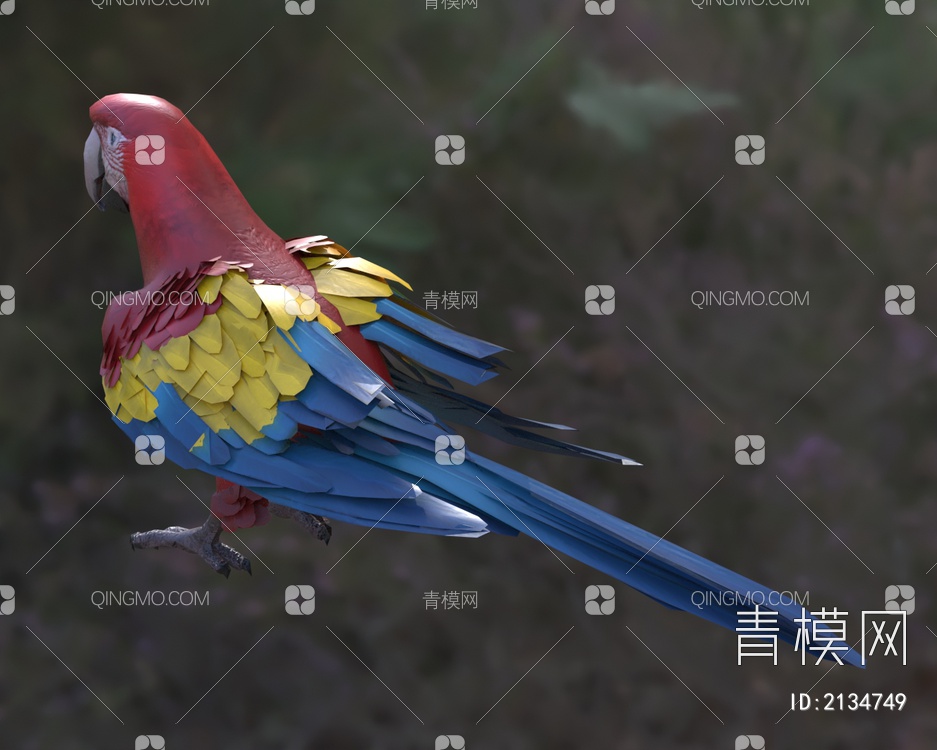 五彩金刚鹦鹉 绯红金刚鹦鹉 红黄金刚鹦鹉 动物3D模型下载【ID:2134749】