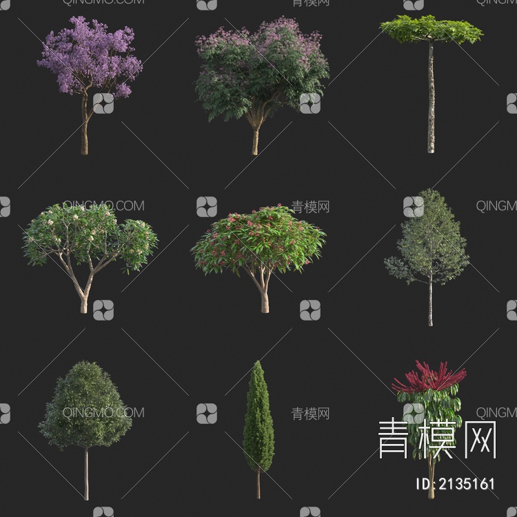 花树 松树 鸡蛋花树 小树 景观树 行道树 紫色花树3D模型下载【ID:2135161】