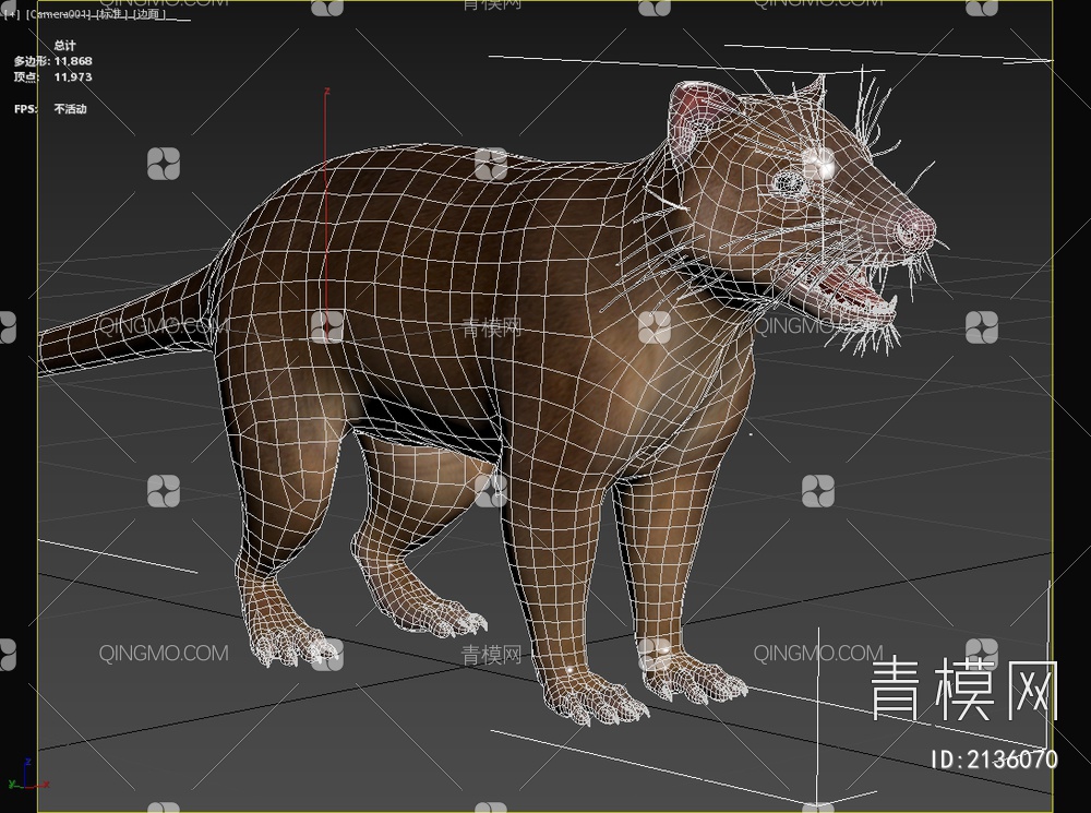 虎袋鼬袋猫虎猫动物3D模型下载【ID:2136070】