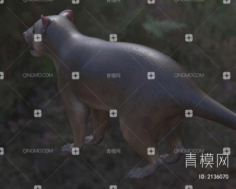 虎袋鼬袋猫虎猫动物3D模型下载【ID:2136070】
