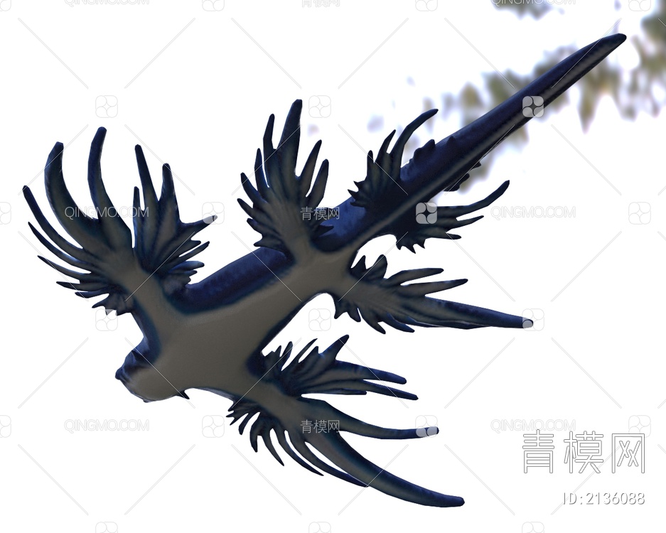 蓝龙蛞蝓青龙蛞蝓鼻涕虫3D模型下载【ID:2136088】