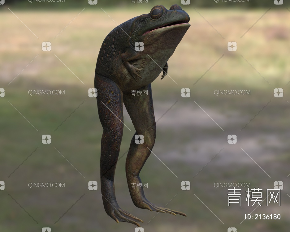 爱兰青蛙 拉夫兰青蛙3D模型下载【ID:2136180】