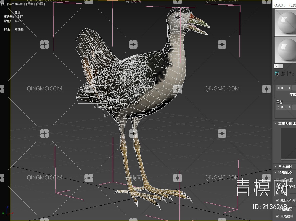 白胸苦恶鸟 白胸秧鸡 白面鸡 白腹秧鸡 生物 动物3D模型下载【ID:2136268】