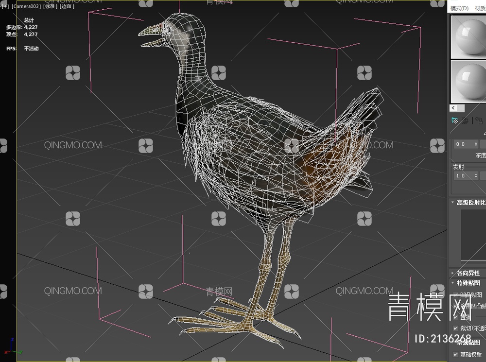 白胸苦恶鸟 白胸秧鸡 白面鸡 白腹秧鸡 生物 动物3D模型下载【ID:2136268】