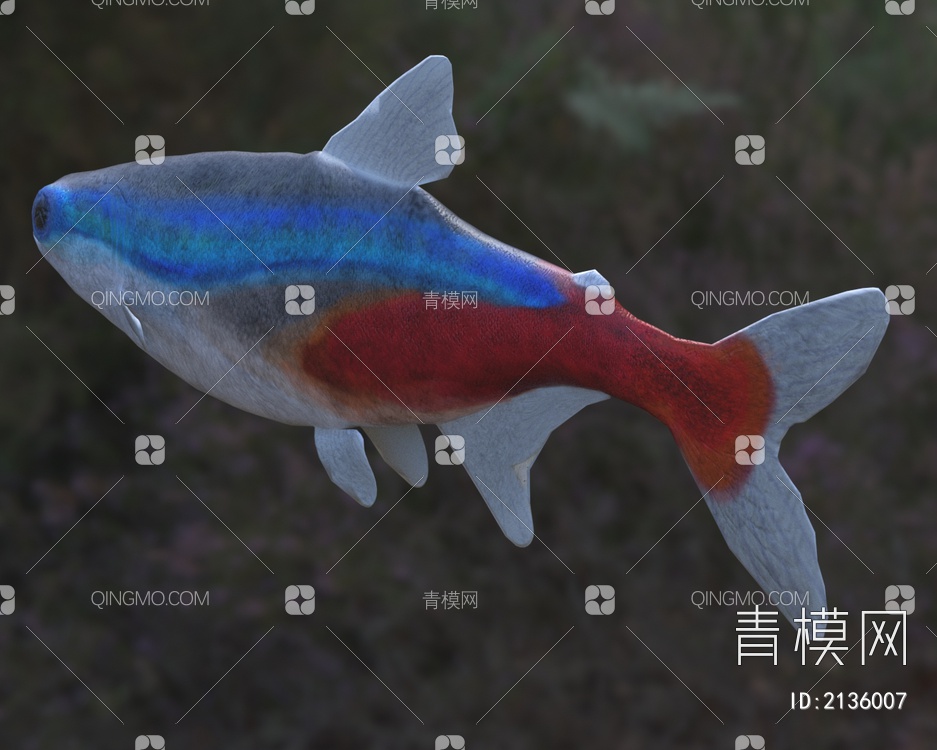 宝莲灯鱼学名日光灯鱼新红莲灯鱼3D模型下载【ID:2136007】