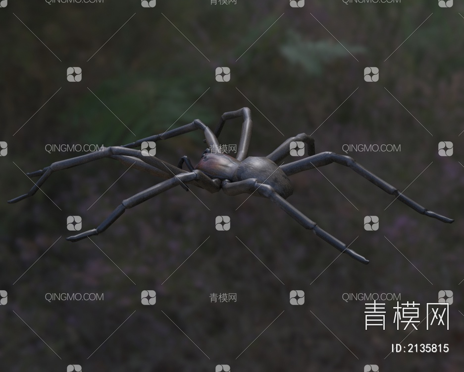红牙流浪蜘蛛生物动物3D模型下载【ID:2135815】