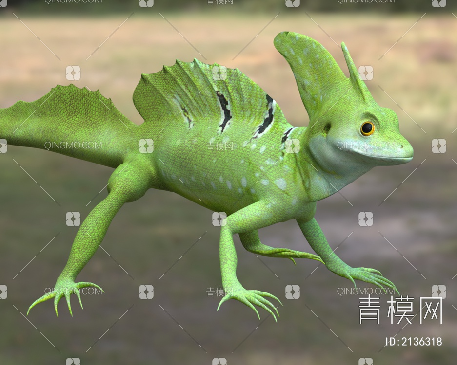 双冠蜥背鳍蜥属动物3D模型下载【ID:2136318】