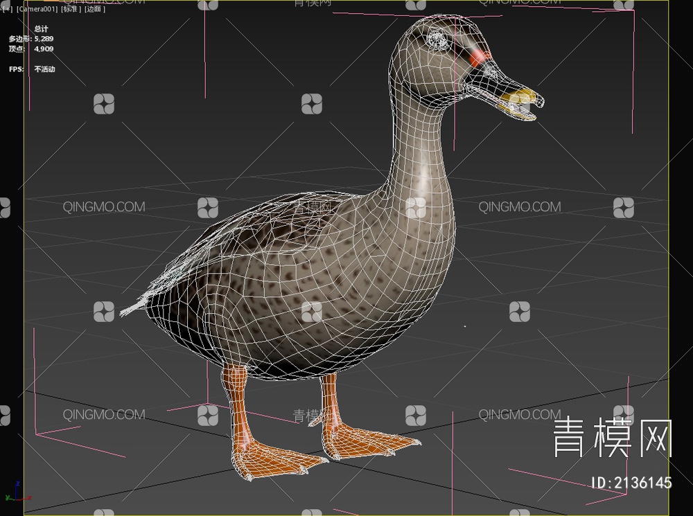 印度斑嘴鸭 生物 动物3D模型下载【ID:2136145】