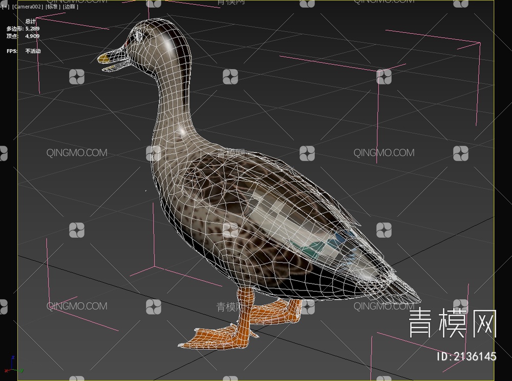 印度斑嘴鸭 生物 动物3D模型下载【ID:2136145】