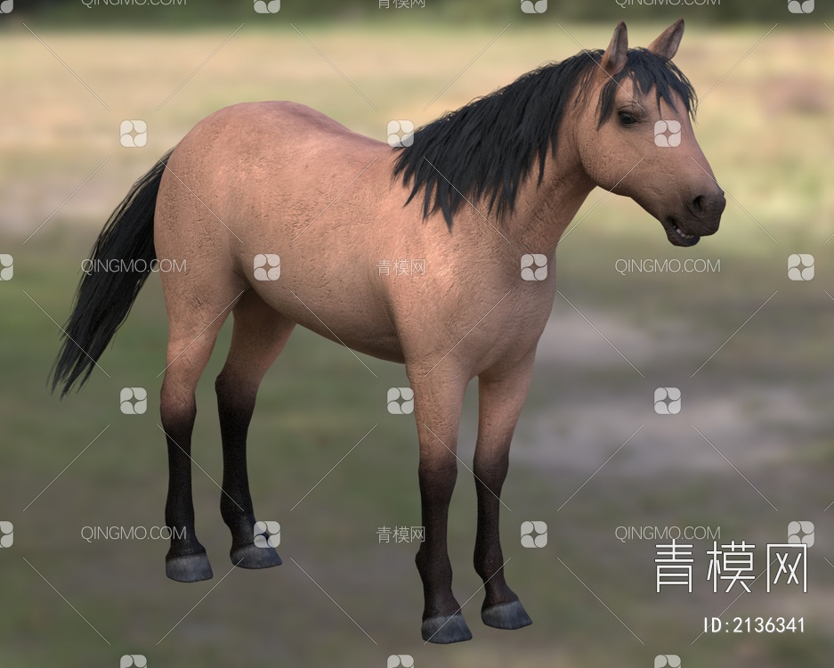 家马野马 马匹 动物3D模型下载【ID:2136341】